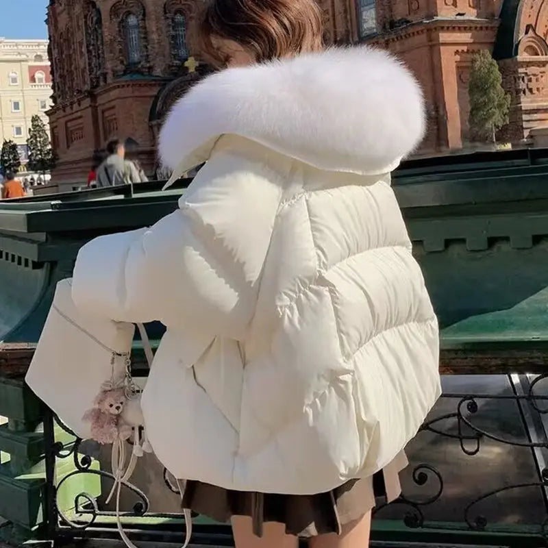 Plus Size Down w/ Short Fur Collar Winter Coat